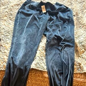 Blue Velvet Joggers gap NWT